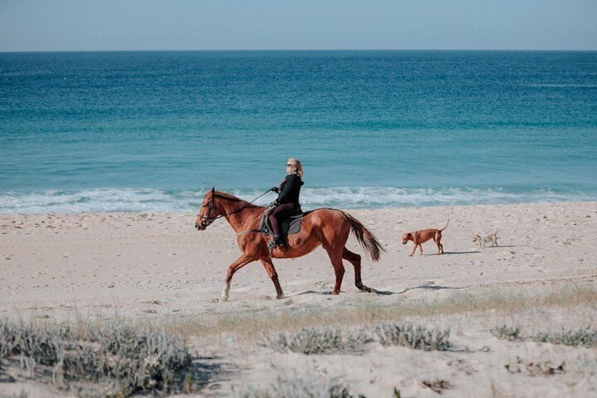 Una persona montando a caballo en una playa, con el océano al fondo. 5