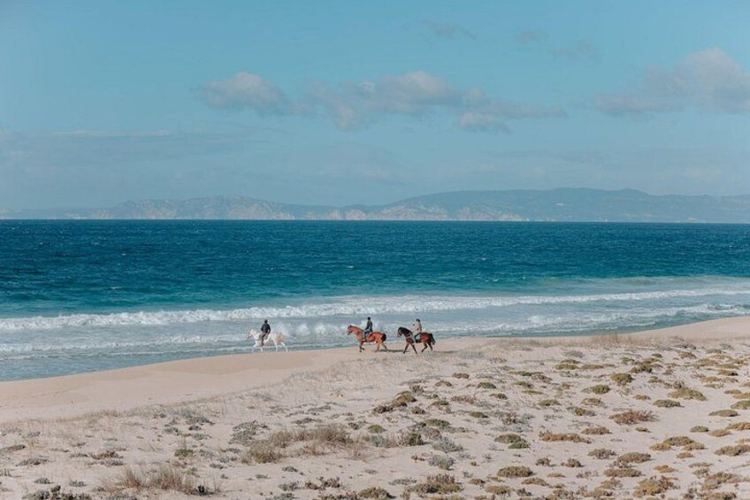 A beach with horses and riders, ocean, and distant mountains. 3