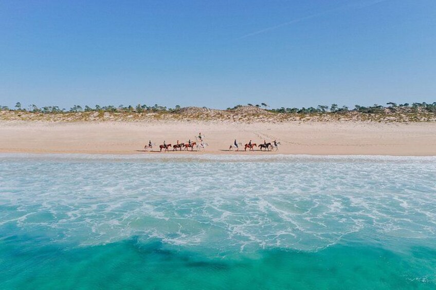 A beach with clear turquoise waters and a group of people riding horses. 1