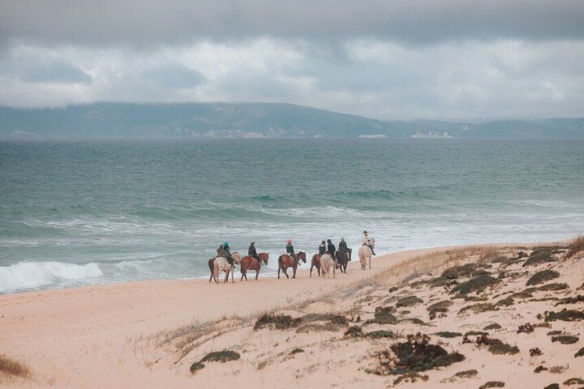 Un grupo de personas montando a caballo a lo largo de una playa, con el océano al fondo. 2
