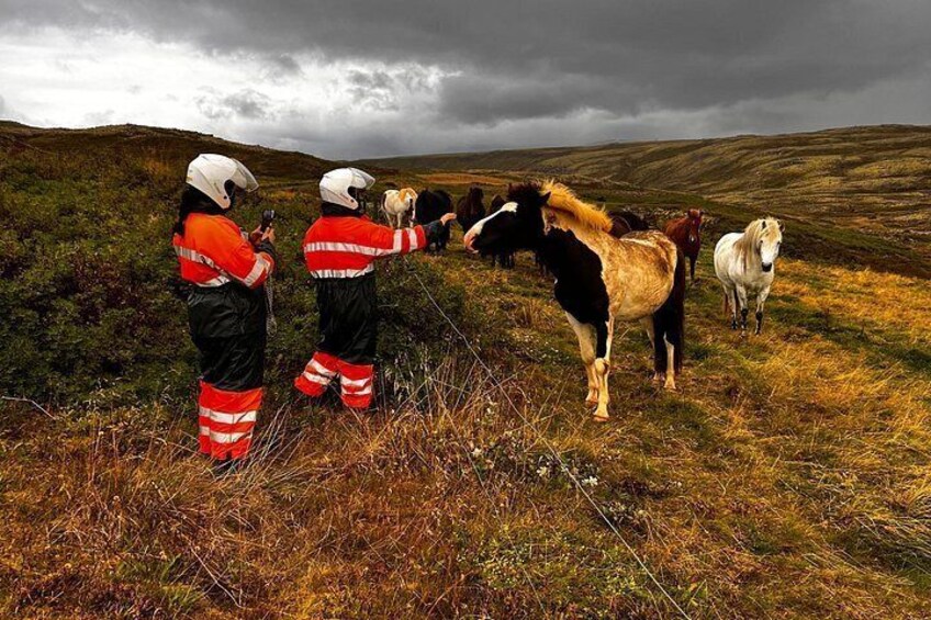 Superview - ATV Reykjavik - 2H+ Adventure and View 4