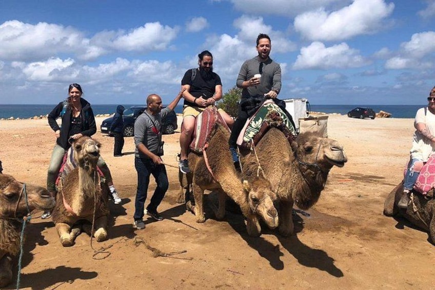 Tangier Day Trip from Seville 3