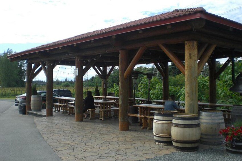 Backyard Winery 3