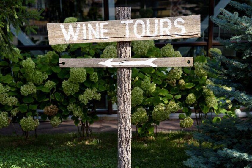 Wine tasting tour