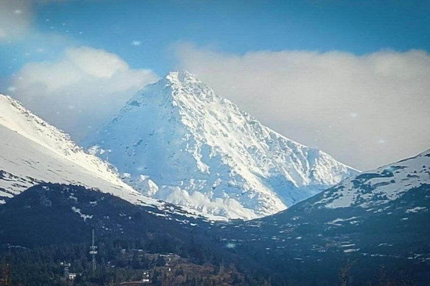 PRISTINE - Wilderness, Wildlife, Glacier Experience in Anchorage 3