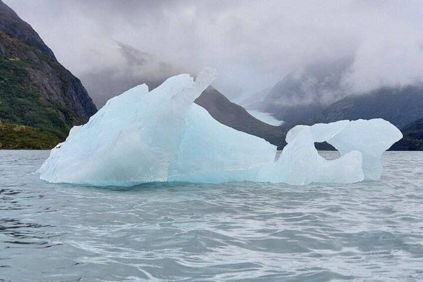 PRISTINE - Wilderness, Wildlife, Glacier Experience in Anchorage 3