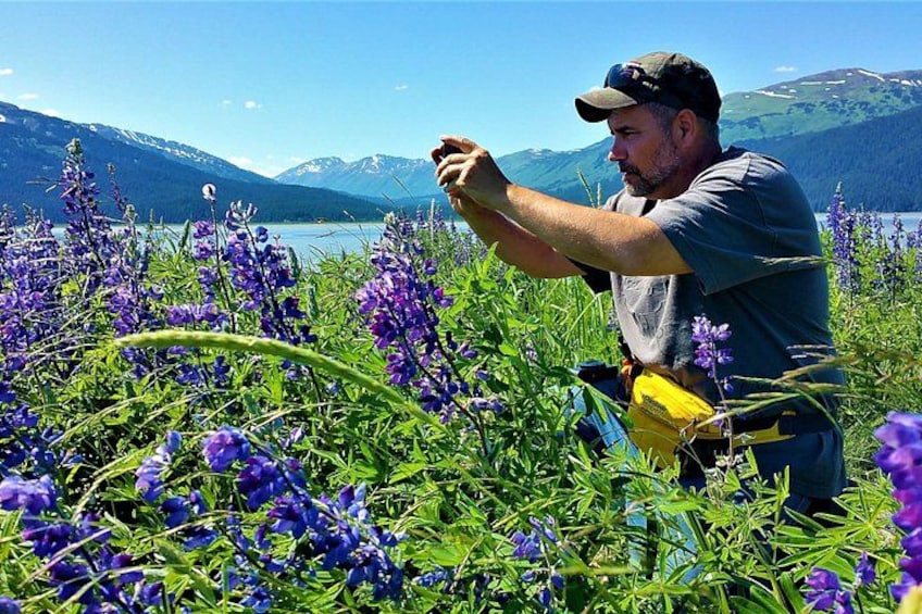 PRISTINE - Wilderness, Wildlife, Glacier Experience in Anchorage 4