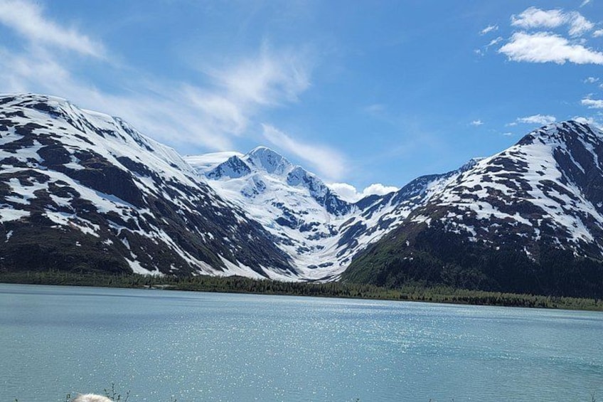 PRISTINE - Wilderness, Wildlife, Glacier Experience in Anchorage 3