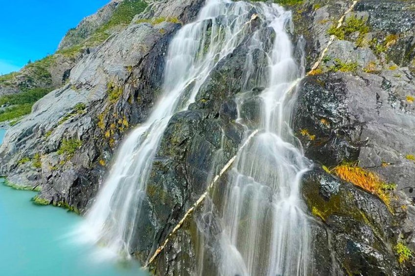 PRISTINE - Wilderness, Wildlife, Glacier Experience in Anchorage 4