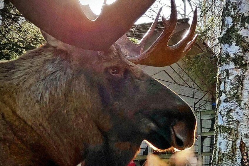 Wildlife is abundant but takes skill to photograph with emphasis. This was taken with a cellphone. 4