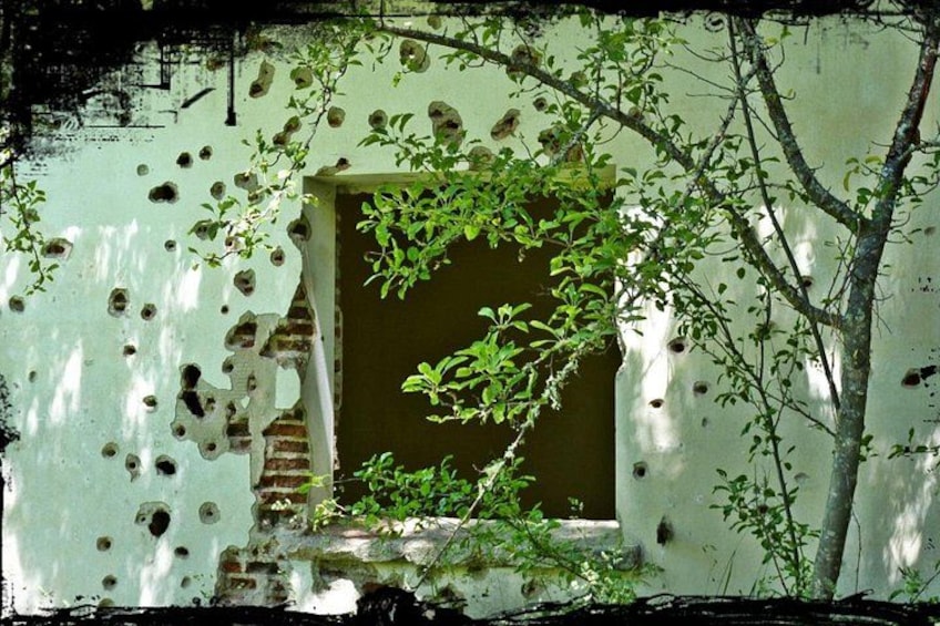 A dilapidated building with a window and a tree in front. 3