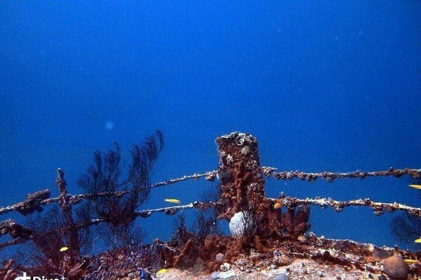 An underwater scene with a rusted metal structure, aquatic plants, and small fish. 2