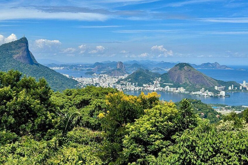 Rio: Tijuca Rainforest Hike, Wildlife, Waterfalls & Caves 4