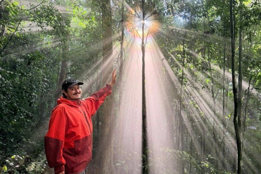 Rio: Tijuca Rainforest Hike, Wildlife, Waterfalls & Caves 3