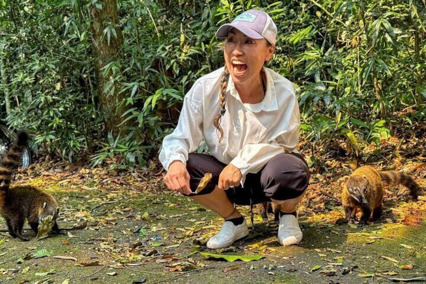 Una persona agachada en el suelo del bosque, cerca de dos mapaches. 3