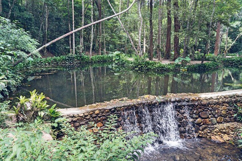 Rio: Tijuca Rainforest Hike, Wildlife, Waterfalls & Caves 2
