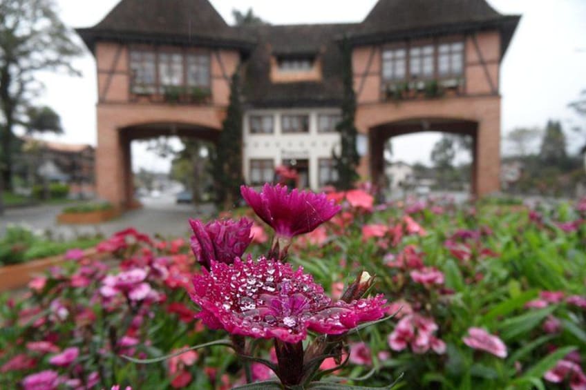 Germanic Route - Cultural and historical: Blumenau and Pomerode 3