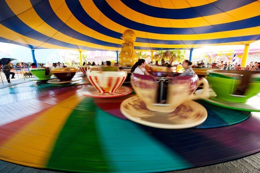 Round Trip Beto Carrero World from Balneario Camboriu 3