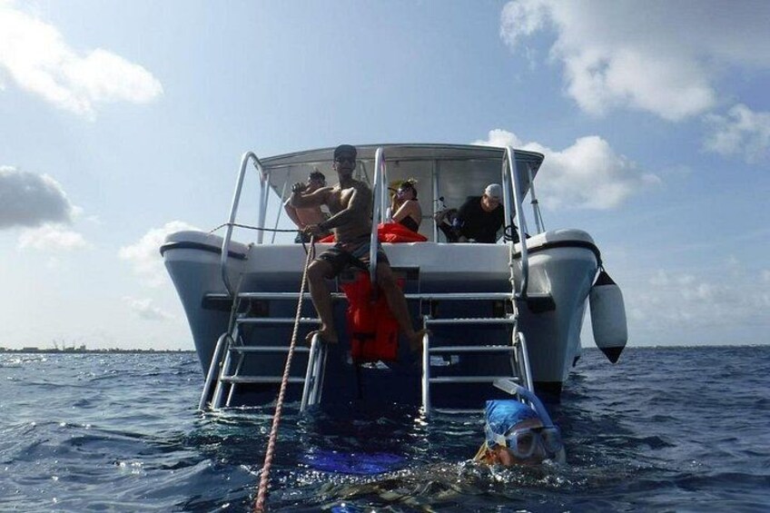 Double Dip Snorkel Trip 5