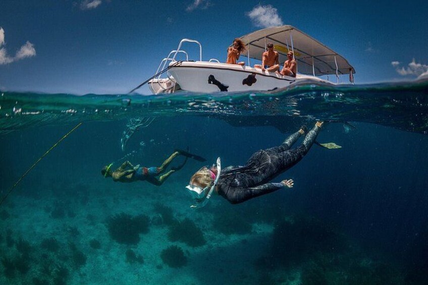 Snorkel trip to Klein Bonaire 1