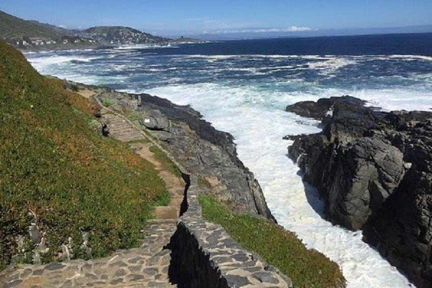 A coastal landscape with a rocky path, ocean waves, and distant hills. 1