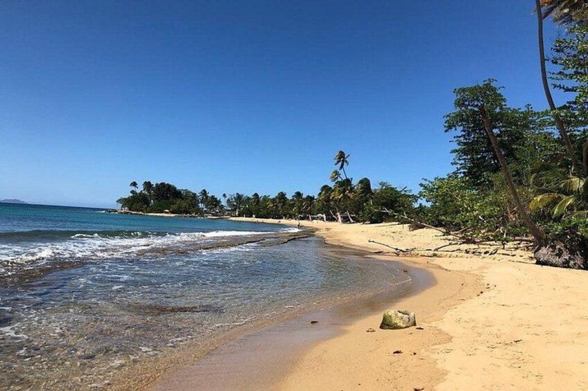 A sandy beach with clear blue water, palm trees, and a distant island. 5
