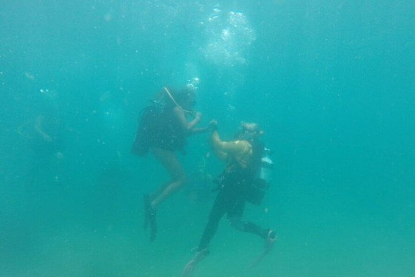 Discover Scuba in Rincon | Expert Guides, Small Groups 2