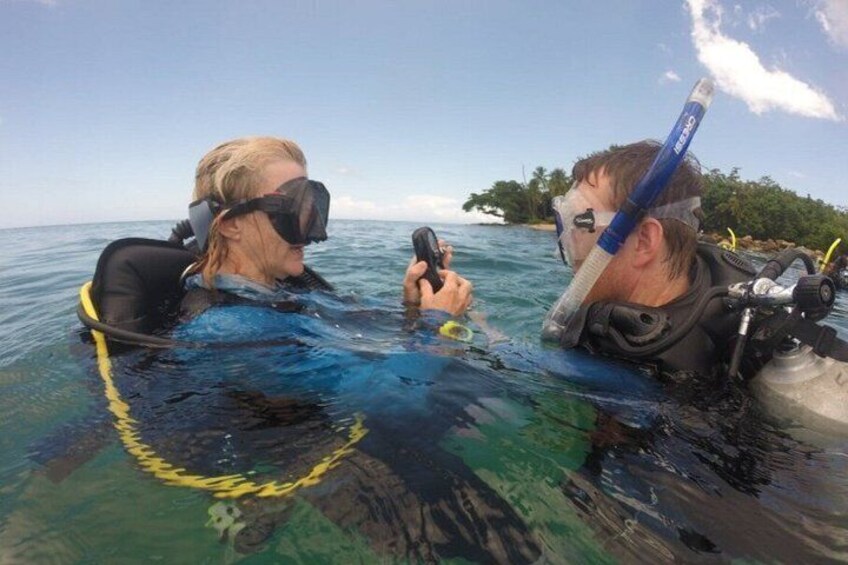 Discover Scuba in Rincon | Expert Guides, Small Groups 4