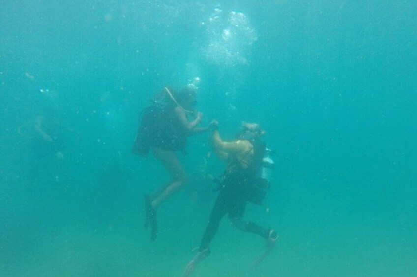 Discover Scuba in Rincon | Expert Guides, Small Groups 3