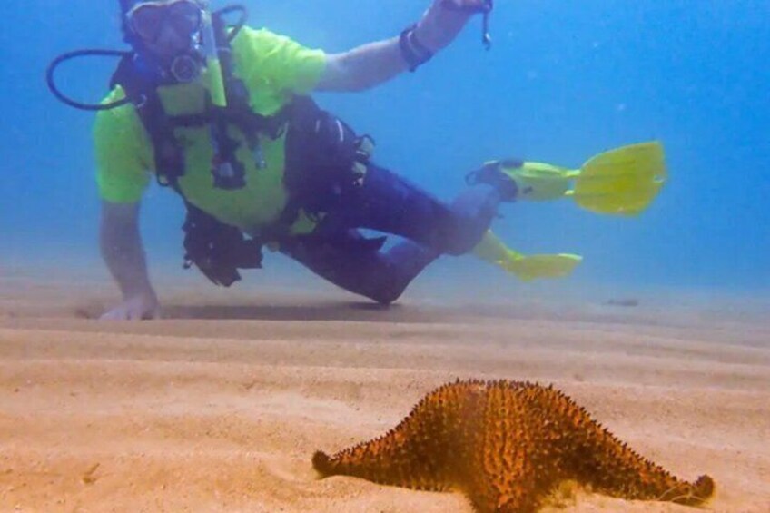 Discover Scuba in Rincon | Expert Guides, Small Groups 4