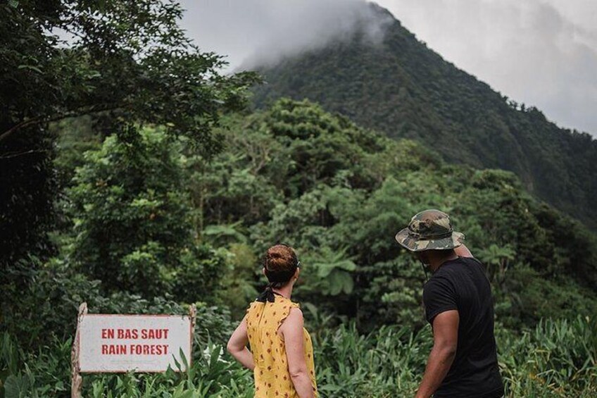 Rainforest Bathing Tour