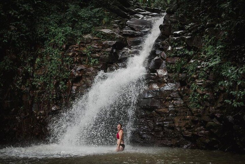 Rainforest Bathing Tour 