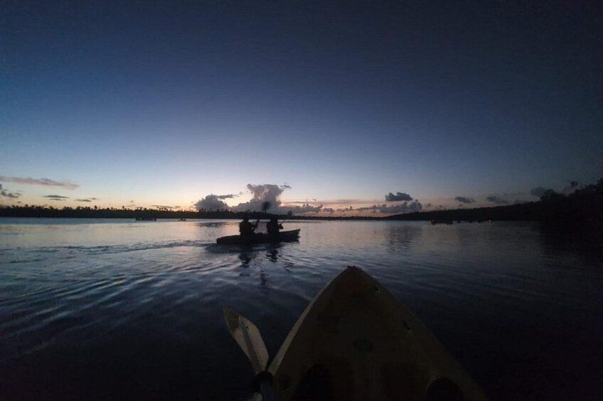 Fajardo Kayaking Tour 3