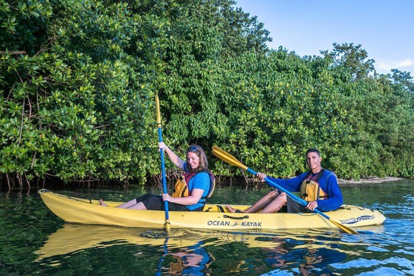 Bio Bay Night Kayaking Tour 5