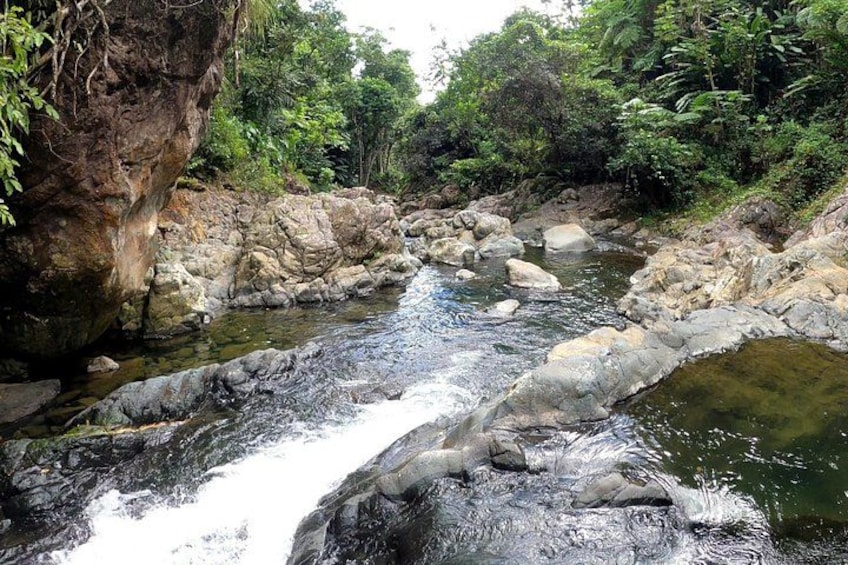 Trio Tour: El Yunque, Luquillo Beach, and Bio Bay Night Kayaking 4
