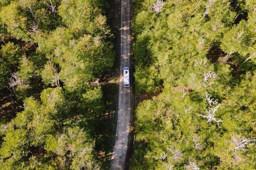 An aerial view of a road through a dense forest. 2