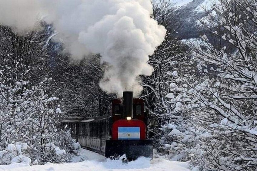 Een stoomtrein rijdt door een besneeuwd landschap met dichte bomen. 5
