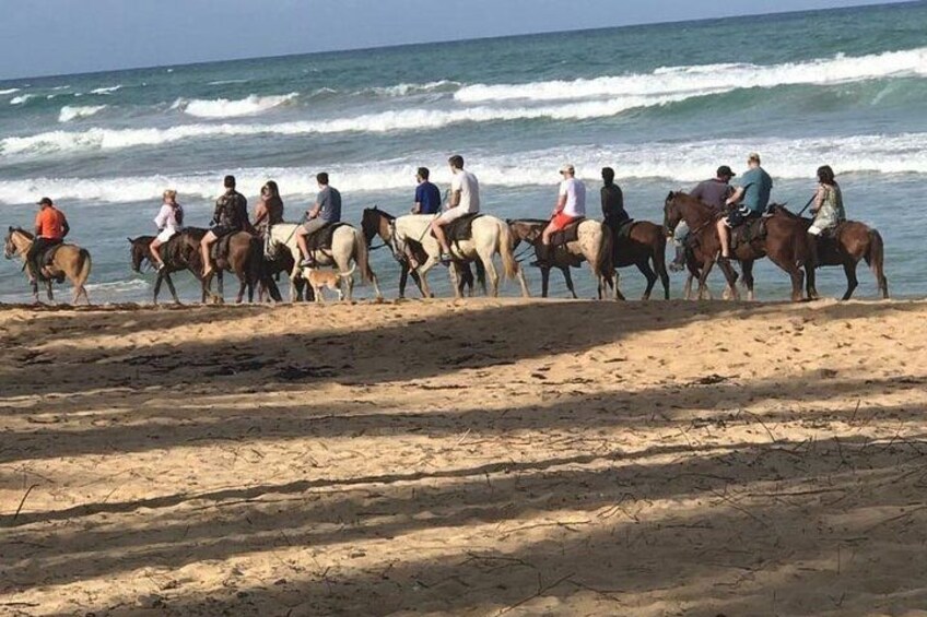 Una playa con gente montando caballos a lo largo de la orilla. 2