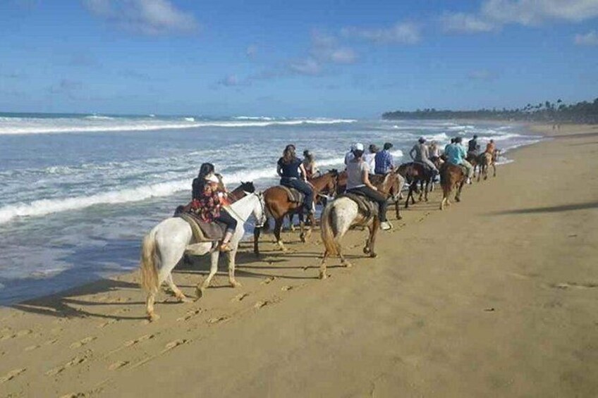 Punta Cana Beach Horseback Riding 1
