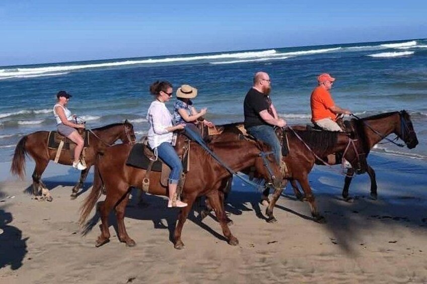 Punta Cana Beach Horseback Riding 3