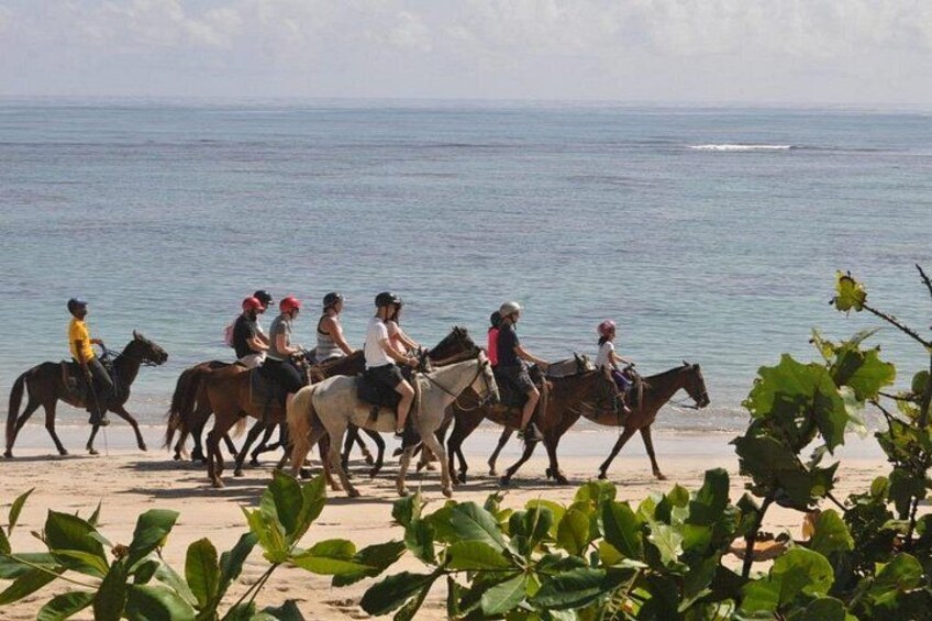 Un grupo de personas montando a caballo en una playa, con el océano de fondo. 2