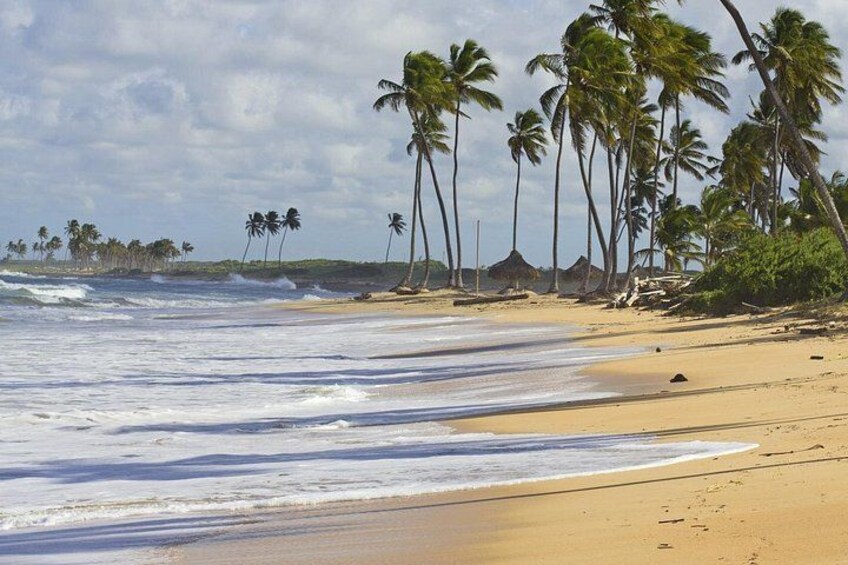 Una playa con palmeras, olas y cabañas. 3