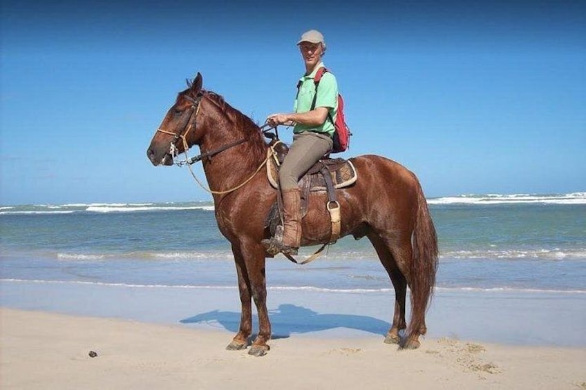 Una persona montando a caballo en una playa, con el océano al fondo. 5