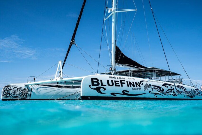Catamaran BlueFinn 3