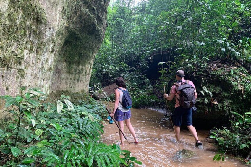 Caves and Waterfalls Day Tour