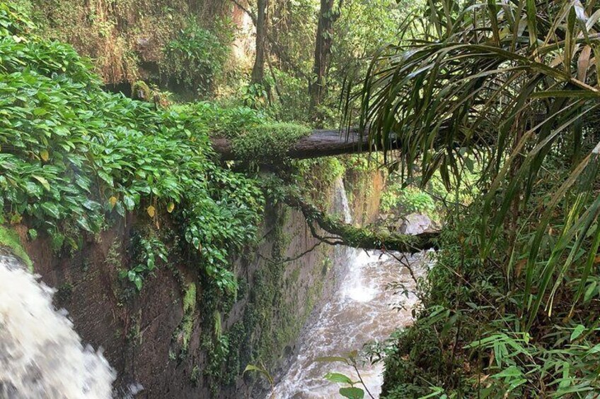 Caves and Waterfalls Day Tour