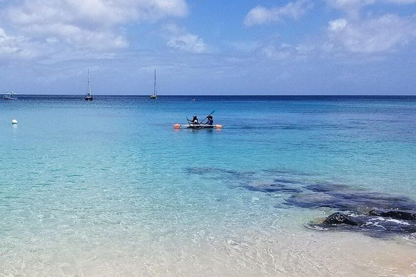 Folkestone Coral Reef Clear Kayak Tour 1