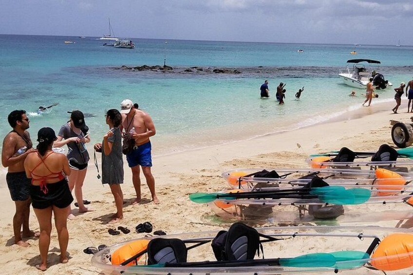 Folkestone Coral Reef Clear Kayak Tour 5