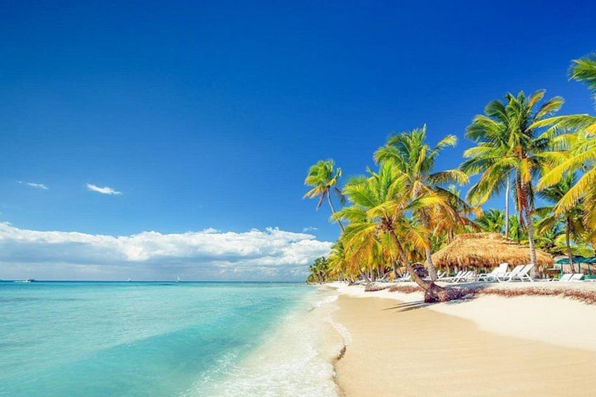 Full-Day Excursion in Saona Island 5