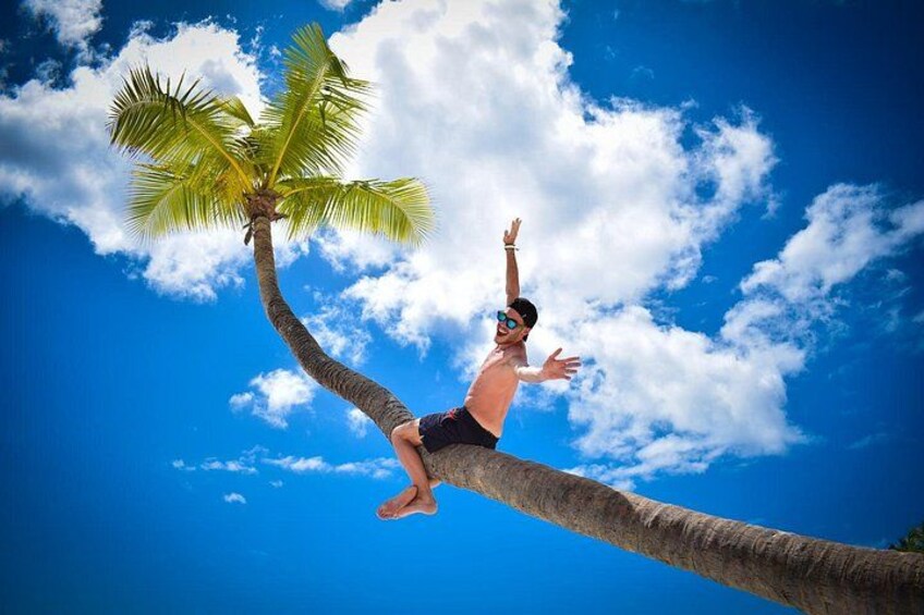 Full-Day Excursion in Saona Island 2